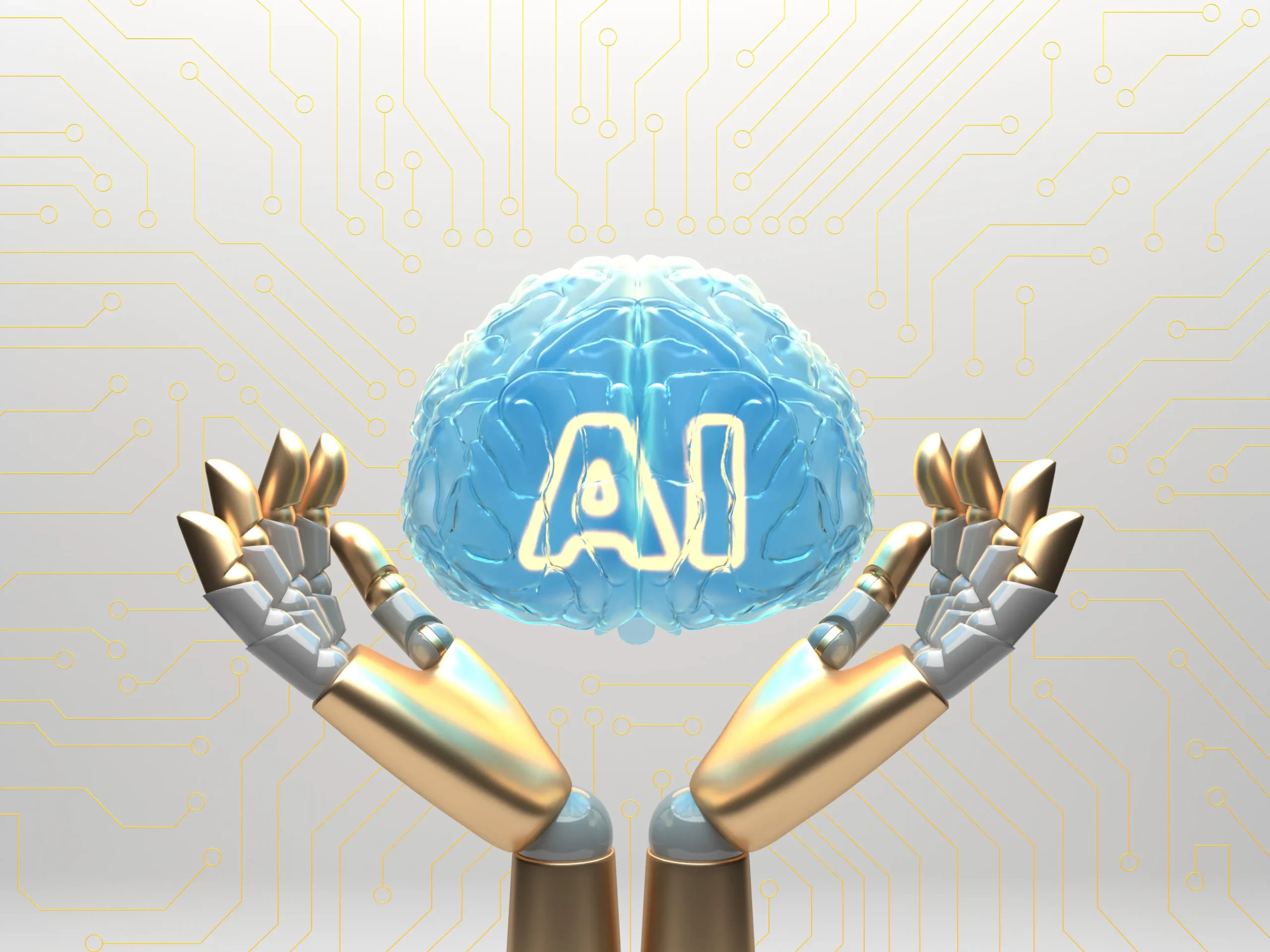 https://digitalchaabiacademy.com/best-web-development-course-in-tohana/